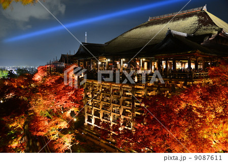 京都清水寺ライトアップ 9087611