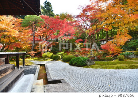 京都・泉湧寺 京都・泉湧寺 9087656