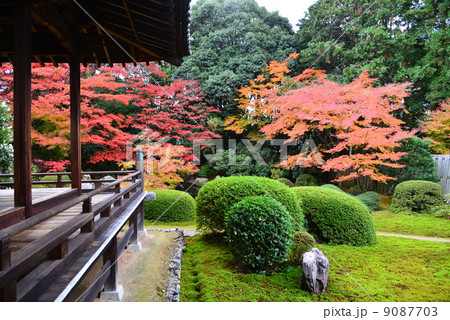 京都・隋心院門跡 9087703