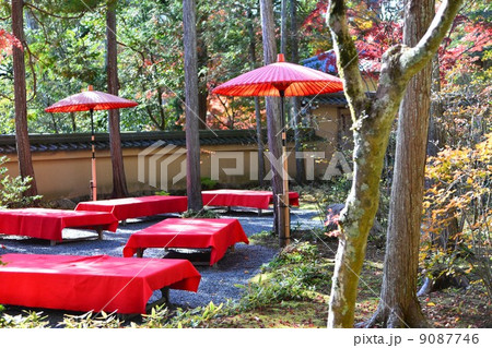 京都・金閣寺 京都・金閣寺 9087746