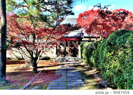 京都・等持院 京都・等持院 9087956