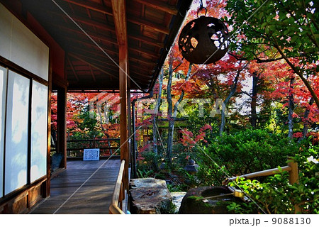 京都 妙心寺大法院の写真素材