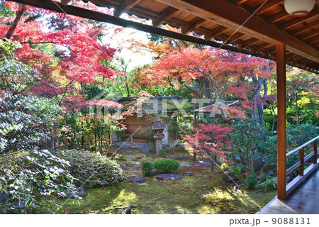 京都 妙心寺大法院の写真素材