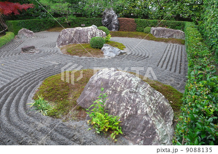 退蔵院庭園 9088135