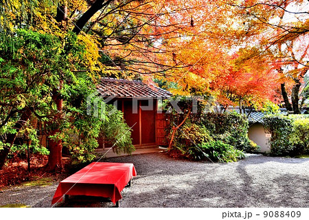 京都・大河内山荘 9088409