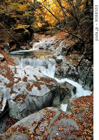 錦秋の西沢渓谷散策行 錦秋の西沢渓谷散策行 9088503