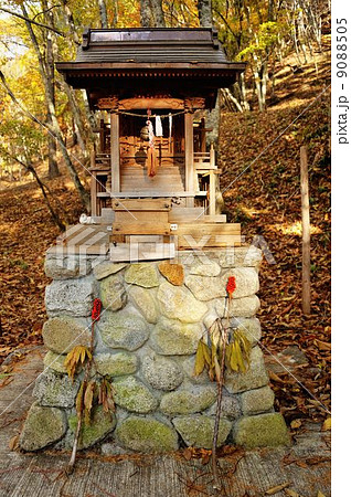 錦秋の西沢渓谷散策行 錦秋の西沢渓谷散策行 9088505