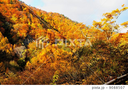 錦秋の西沢渓谷散策行 錦秋の西沢渓谷散策行 9088507