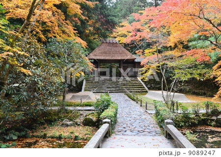 京都・法然院 9089247