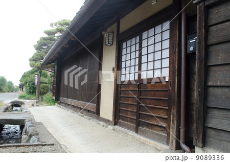 海野格子 9089336