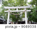 鳥居 9089338