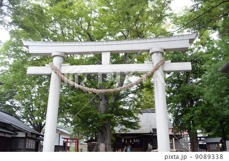 鳥居 9089338