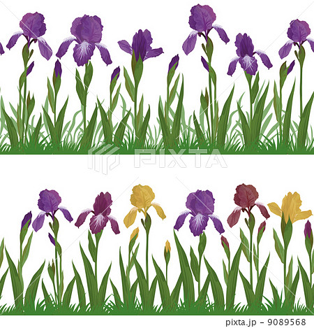 Flowers iris and grass, set seamless 9089568