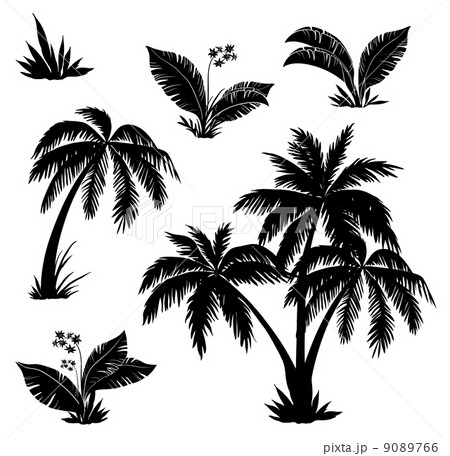 Palm trees, flowers and grass, silhouettes 9089766