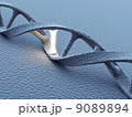 DNA helix molecules. Science concept. 3D Illustration 9089894