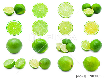 Lime 9090568
