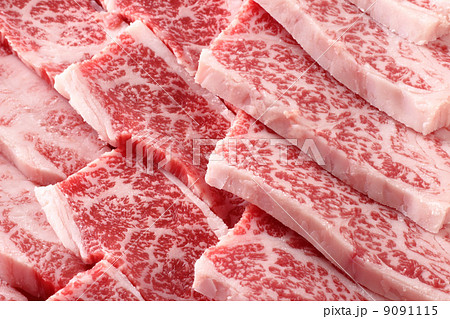 霜降り牛肉のアップ 9091115