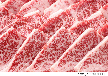 霜降り牛肉のアップ 9091117
