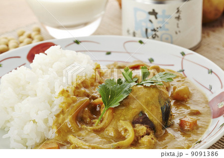 豆乳鯖カレー 豆乳鯖カレー 9091386
