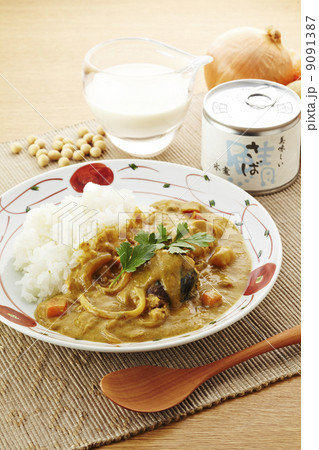 豆乳鯖カレー 豆乳鯖カレー 9091387