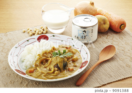 豆乳鯖カレー 豆乳鯖カレー 9091388