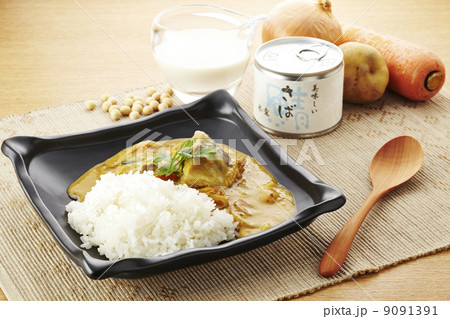 豆乳鯖カレー 豆乳鯖カレー 9091391