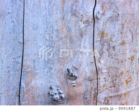 Wooden texture. 9091887