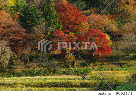 紅葉のサイクリング 紅葉のサイクリング 9092171