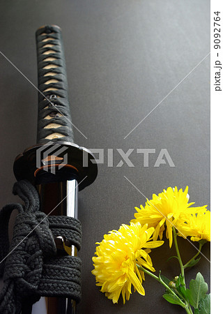 日本刀と黄色い菊の花（納刀） 9092764