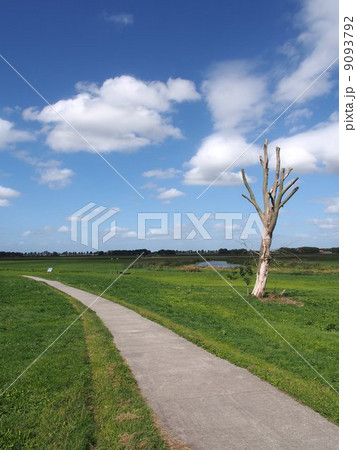 世界遺産　オランダ　スホクラントとその周辺　 9093792