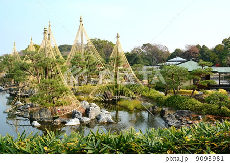 秋の白鳥庭園 清羽亭 秋の白鳥庭園 清羽亭 9093981