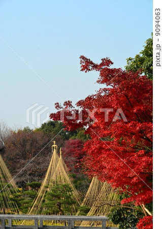 秋の白鳥庭園 冬支度 秋の白鳥庭園 冬支度 9094063