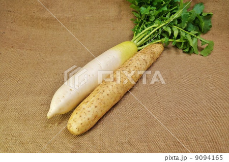 冬野菜・葉付き大根と長芋・麻布バック横位置 冬野菜・葉付き大根と長芋・麻布バック横位置 9094165