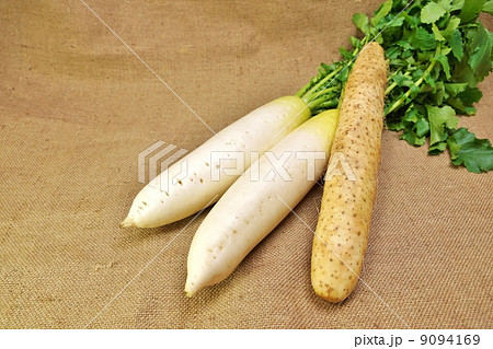 冬野菜・葉付き大根2本と長芋・麻布バック横位置 9094169