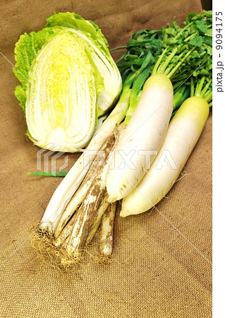 冬野菜・葉付き大根2本.カット白菜.長葱・麻布バック縦位置 冬野菜・葉付き大根2本.カット白菜.長葱・麻布バック縦位置 9094175
