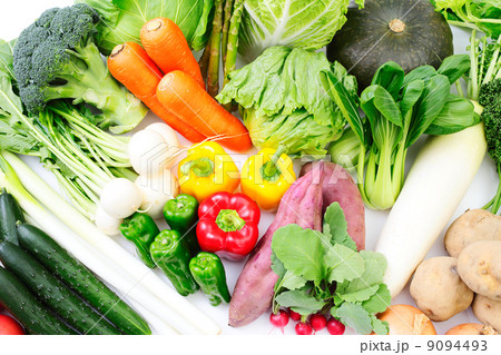 野菜 9094493