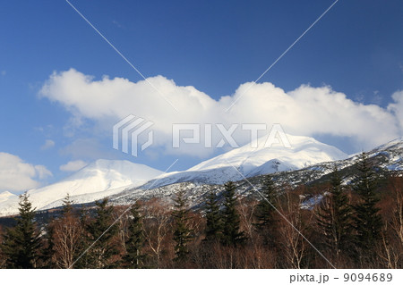 冬の美瑛岳 9094689