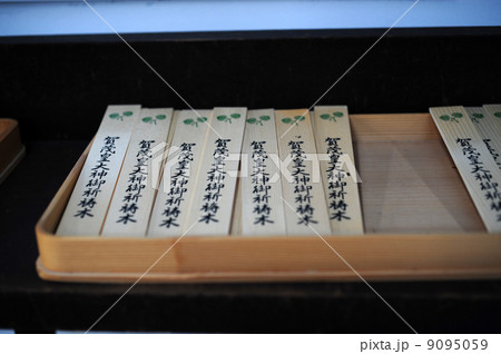 下鴨神社の御祈祷木 9095059