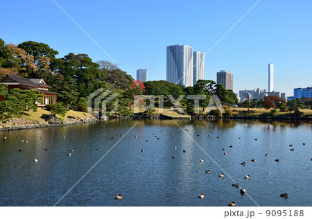 浜離宮恩賜庭園 松の御茶屋(2013.12) 浜離宮恩賜庭園 松の御茶屋(2013.12) 9095188