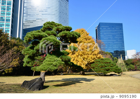 浜離宮恩賜庭園（2013.12） 9095190