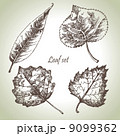 Hand drawn leaf set 9099362
