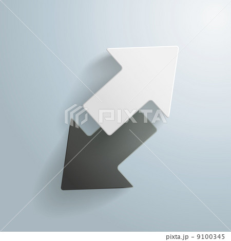 Black and White Arrows 9100345