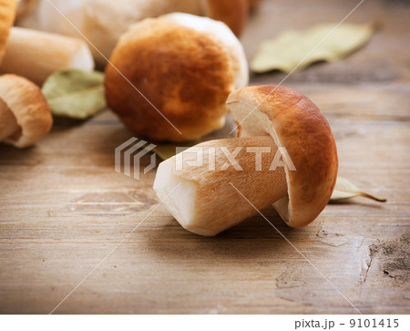 Mushroom Boletus over Wooden Background. Autumn Cep Mushrooms 9101415