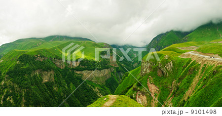 Green mountains panorama 9101498