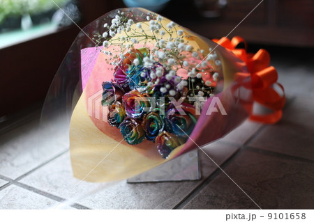 レインボーローズ 9101658