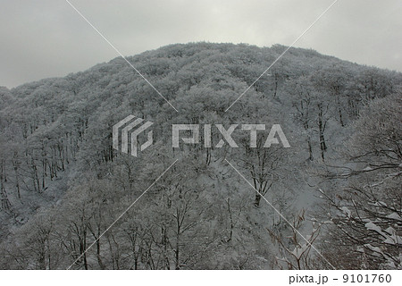 12月の五頭山 12月の五頭山 9101760