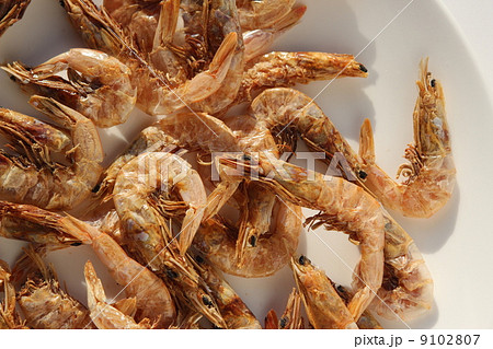 焼き芝海老 焼き芝海老 9102807