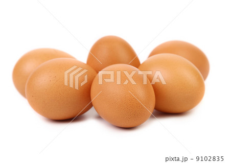 Many brown eggs 9102835
