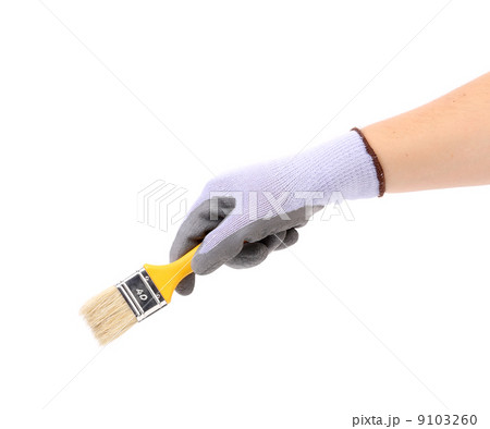 Hand in gloves holds brush. 9103260
