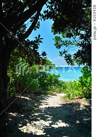 イダの浜　いだのはま 9103436